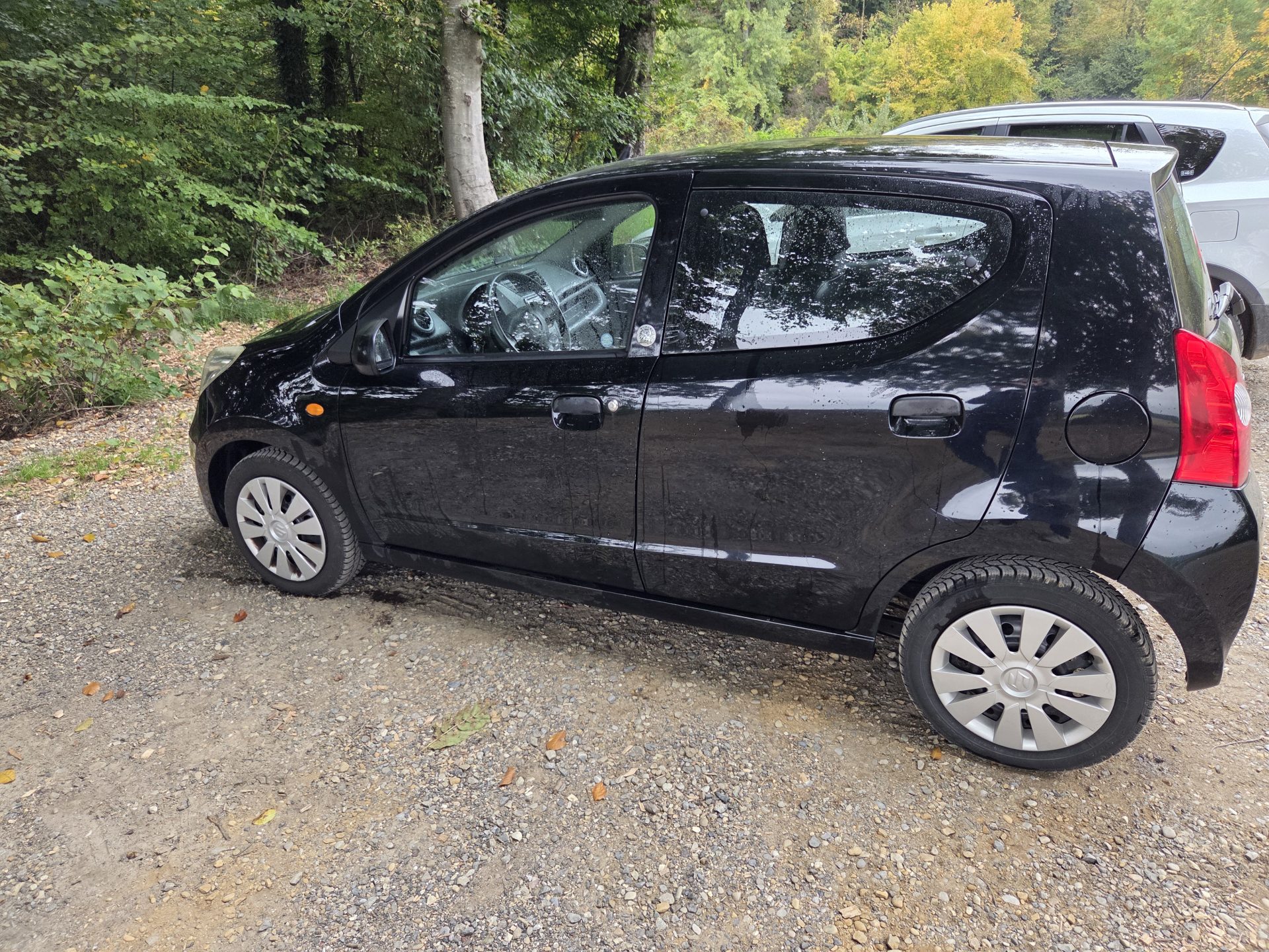 Suzuki Alto Indigo 2013